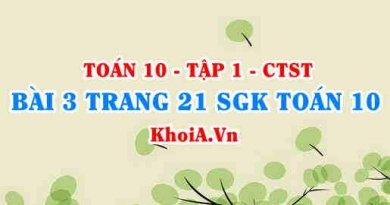 Bài 3 trang 21 SGK Toán 10 tập 1 Chân trời sáng tạo